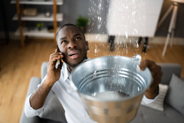 Best Water damage restoration near me  in Ridgefield, NJ