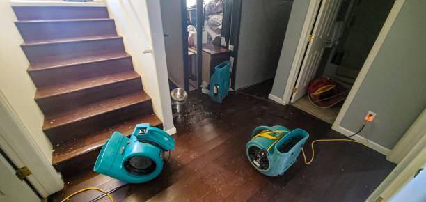 Reliable Ridgefield, NJ Water damage restoration Solutions