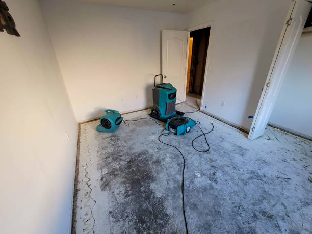 Best Emergency water damage restoration  in Ridgefield, NJ