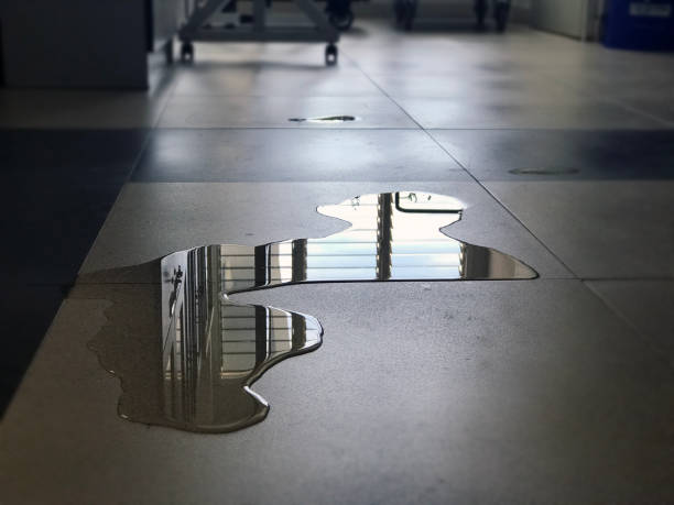 Best Professional water damage repair  in Ridgefield, NJ